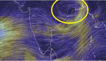 Rain: ബംഗാൾ ഉൾക്കടലിൽ ന്യൂനമർദ്ദം രൂപപ്പെട്ടു; കേരളത്തിൽ അടുത്ത 5 ദിവസം വ്യാപക മഴയ്ക്ക് സാധ്യത