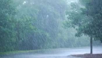 Rain alert: കേരളത്തിൽ വീണ്ടും ശക്തമായ  മഴ; അഞ്ച് ജില്ലകളിൽ യെല്ലോ അലർട്ട്