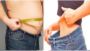 Belly fat: നിങ്ങൾക്ക് കുടവയറുണ്ടോ? ഇക്കാര്യങ്ങൾ ശ്രദ്ധിക്കാം