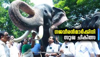 3690 കിലോ അരി,1230 കിലോ ചെറുപയർ മരുന്നുകൾ വേറെ: ഗുരുവായൂരപ്പൻറെ ഗജവീരൻമാർക്കിനി സുഖ ചികിത്സ