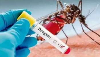 Dengue Fever: ഒരു മാസത്തിനിടെ പകർച്ചപ്പനി ബാധിച്ച് മരിച്ചത് 86 പേർ; 138 ഡെങ്കി ബാധിത മേഖലകൾ