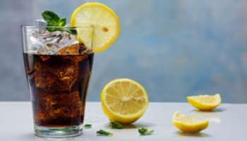 Diet Coke Side Effects: ഡയറ്റ് കോക്ക് കുടിക്കാറുണ്ടോ? ഉടനെ നിർത്തിക്കോളൂ