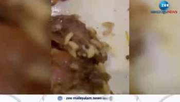 Worms in Chicken Biriyani