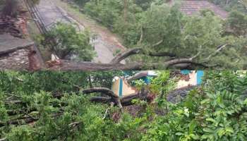 Rain Alert: തിരുവനന്തപുരത്ത് മഴ ശക്തം, മലയോര- തീരദേശ യാത്രകള്‍ക്ക് വിലക്ക്; പൊതുജനങ്ങൾ ശ്രദ്ധിക്കേണ്ട കാര്യങ്ങൾ ഇവയാണ്