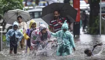 Kerala Rain Update: കനത്ത മഴ: ഈ ജില്ലകളിലെ സ്കൂളുകൾക്ക് നാളെ അവധി