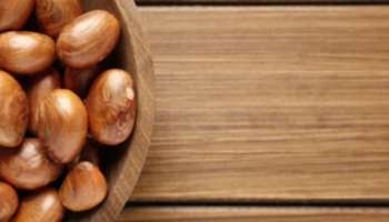 Jackfruit Seeds Benefits: ചില്ലറക്കാരനല്ല ചക്കക്കുരു; അറിയാം ചക്കക്കുരുവിന്റെ ​ഗുണങ്ങൾ