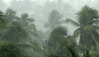 Rain Alert: സംസ്ഥാനത്ത് അഞ്ച് ജില്ലകളിൽ യെല്ലോ അലർട്ട്, അഞ്ച് ജില്ലകളിൽ വിദ്യാഭ്യാസ സ്ഥാപനങ്ങൾക്ക് അവധി; യൂണിവേഴ്സിറ്റി പരീക്ഷകൾ മാറ്റിവച്ചു