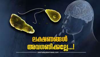 Brain Eating Amoeba: എന്താണ് പ്രൈമറി അമീബിക് മെനിഞ്ചോ എങ്കഫലൈറ്റിസ്? ഈ ലക്ഷണങ്ങൾ അവ​​ഗണിക്കരുത്