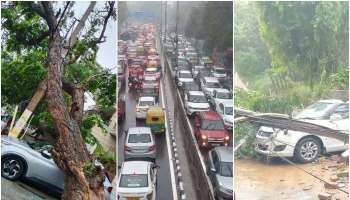 Delhi Rains: ഡല്‍ഹിയില്‍ കനത്ത മഴ, ഒരു മരണം, 15 വീടുകൾ തകർന്നു