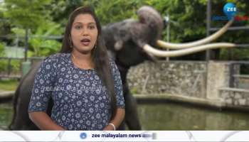 Elephant returned to Thailand from Sri Lanka