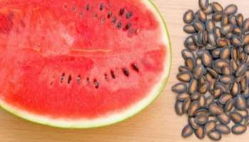 Watermelon Seeds: തണ്ണിമത്തന്റെ വിത്തുകൾ എറിഞ്ഞുകളയല്ലേ... ​ഗുണങ്ങൾ അറിഞ്ഞാൽ നിങ്ങൾ ഞെട്ടും