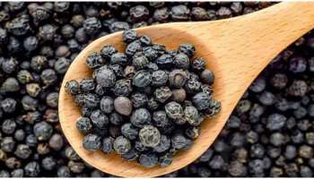 Black Pepper Benefits: ഔഷധഗുണങ്ങള്‍ ഏറെ, കുരുമുളകിനെ ഒഴിവാക്കല്ലേ... 