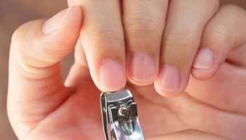 Nail Cutting: ഈ ദിവസം നഖം വെട്ടിയാല്‍ ജോലിയില്‍ പുരോഗതി!! ലക്ഷ്മീദേവിയുടെ കൃപയാൽ ധന പ്രാപ്തി ഉറപ്പ്