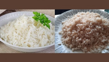 White rice or Red rice is better: വെള്ളയരിയോ ചുവന്ന അരിയോ നല്ലത്? നിങ്ങൾ ഏതാണ് കഴിക്കാറ്