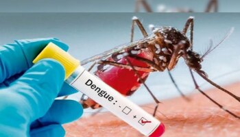Dengue Fever: ശ്രദ്ധിക്കൂ..! ഡെങ്കിപനി പടർന്നുകൊണ്ടിരിക്കുന്നു; ഈ ലക്ഷണങ്ങൾ ഉണ്ടോ?