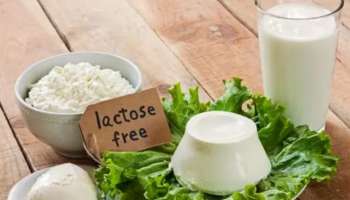 Lactose Intolerance: പശുവിൻ പാലും പാൽ ഉത്പന്നങ്ങളും കഴിച്ചാൽ അസ്വസ്ഥത തോന്നാറുണ്ടോ? ഇതാകാം കാരണം