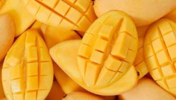 National Mango Day 2023: പഴങ്ങളുടെ രാജാവ്... ഗുണങ്ങളാൽ സമ്പന്നം; അറിയാം മാമ്പഴത്തിന്റെ ​ഗുണങ്ങൾ