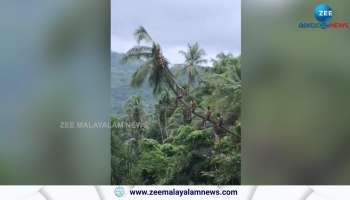 Malappuram Viral Video