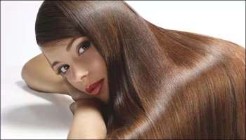 Foods for Hair Growth: മുടി പനങ്കുലപോലെ വളരും, ഈ സൂപ്പർഫുഡുകൾ ഭക്ഷണത്തിൽ ഉൾപ്പെടുത്തൂ