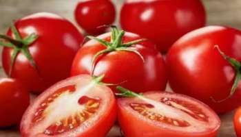 Tomato Online Sale: തക്കാളി ഓൺലൈനിൽ വാങ്ങാം; ഏറ്റവും കുറഞ്ഞ വില