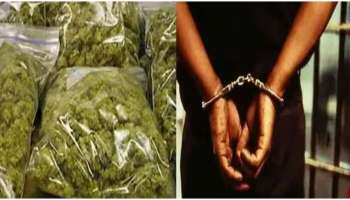 Ganja seized: ജിമ്മിലേയ്ക്ക് പ്രോട്ടീൻ പൗഡർ വിൽക്കുന്ന സ്ഥാപനത്തിൽ റെയ്ഡ്; അഞ്ച് കിലോ കഞ്ചാവ് പിടികൂടി