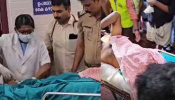 Elephant Attack: കരുളായി വനമേഖലയിൽ ആനയുടെ ആക്രമണത്തിൽ പോലീസ് ഉദ്യോഗസ്ഥന് ഗുരുതര പരിക്ക്