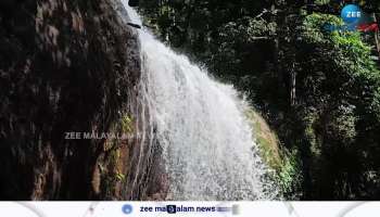 With the onset of monsoon, all the small and big waterfalls in Idukki district have become active