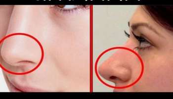 Nose Shape Reveals: മൂക്ക് പറയും നിങ്ങളുടെ സ്വഭാവം എങ്ങിനെ എന്ന്...!! 