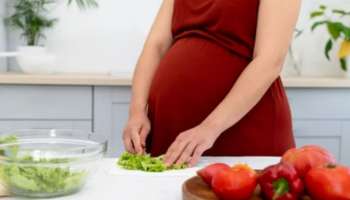 Pregnancy Diet: ​ഗർഭിണികൾ പ്രത്യേകം ശ്രദ്ധിക്കുക; ഈ അവശ്യപോഷകങ്ങൾ അതിപ്രധാനം
