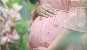Gut Health In Pregnancy: ​ഗർഭകാലത്തെ ദഹന ആരോ​ഗ്യം കുഞ്ഞിന്റെ വളർച്ചയെ ബാധിക്കും; ഇക്കാര്യങ്ങൾ അറിയാതെ പോകരുത്