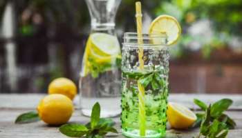 Detox Water: ശരീരത്തെ വിഷമുക്തമാക്കാം, ആരോ​ഗ്യം മികച്ചതാക്കാം; ഈ ഡിറ്റോക്സ് പാനീയങ്ങൾ കുടിച്ചുനോക്കൂ