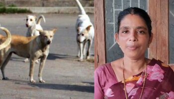 Stray Dog Attack: കണ്ണൂരിൽ വീണ്ടും തെരുവുനായ ആക്രമണം; സ്ത്രീക്ക് നേരെ കൂട്ടത്തോടെ പാഞ്ഞടുത്തു, രക്ഷപ്പെട്ടത് തലനാരിഴയ്ക്ക്