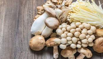 Mushroom: പ്രമേഹരോ​ഗികൾക്ക് ഇവൻ ബെസ്റ്റാ..! കൂണിന്റെ അത്ഭുത ​ഗുണങ്ങൾ അറിയൂ