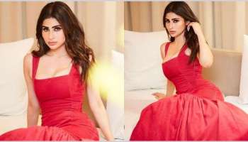 Mouni Roy: ചുവപ്പ് ബോഡികോൺ ഗൗണിൽ മൗനി റോയ്!! സൂപ്പർ സെക്‌സി ലുക്ക് വൈറല്‍ 