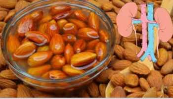 Almonds Side Effects: ബദാം കഴിക്കുന്നതിലെ ഈ പിഴവ് വലിയ ആരോഗ്യപ്രശ്നത്തിന് കാരണമാകും, ശ്രദ്ധിക്കേണ്ട കാര്യങ്ങള്‍ 