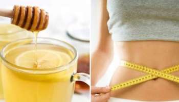 Weight Loss Tips: വയർ കുറയ്ക്കാൻ ആഗ്രഹമുണ്ടോ? തേൻ ഇപ്രകാരം കഴിക്കൂ, ആഴ്ചകൾക്കുള്ളിൽ ഫലം നിശ്ചയം! 