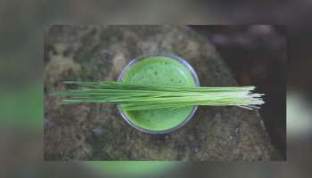 Wheat Grass Benefits: കൊളസ്ട്രോൾ കുറയ്ക്കും, ഗുണങ്ങളാല്‍ സമ്പന്നം വീറ്റ് ഗ്രാസ്