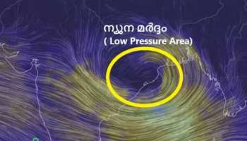 Kerala Rain Alert: വീണ്ടും മഴ; സംസ്ഥാനത്ത് വരുന്ന 5 ദിവസം മഴയ്ക്ക് സാധ്യത