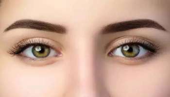 Eyebrows and personalaity: പുരികങ്ങള്‍ പറയും  ഒരു വ്യക്തിയുടെ സ്വഭാവം..!  