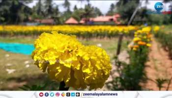 Flower Farming in Vaikom