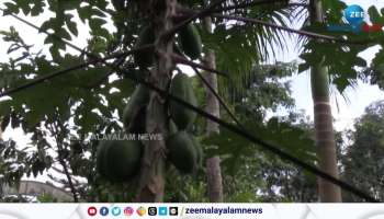 Onam 2023 Farmer of Kerala Police