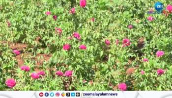 Tamil Nadu has prepared flower beds for the Malayalees to put flowers on