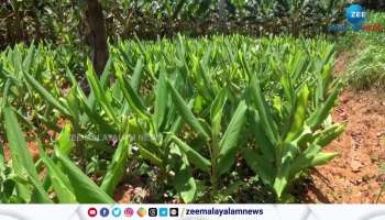 Onam 2023 Kerala farmers 