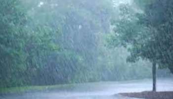 Weather Updates Kerala: കനത്ത ചൂടിന് ആശ്വാസം; സംസ്ഥാനത്ത് ഇന്ന് മഴയ്ക്ക് സാധ്യത