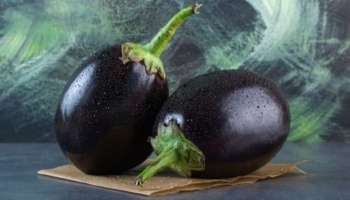 Eggplant: ദഹനത്തിന് മികച്ചത്, പ്രമേഹത്തെ നിയന്ത്രിക്കുന്നു... നിരവധിയാണ് വഴുതനങ്ങയുടെ ​ഗുണങ്ങൾ