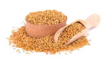 Fenugreek: തിളക്കവും ആരോഗ്യവുമുള്ള മുടി നിങ്ങളുടെ സ്വപ്നമാണോ? ഉലുവ മതി