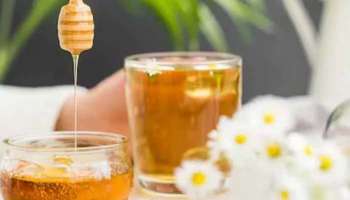 Honey Water Benefits: രാവിലെ വെറും വയറ്റിൽ ഇളം ചൂടുവെള്ളവും ഒരു സ്പൂണ്‍ തേനും, ഗുണങ്ങളേറെ 