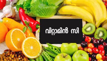 Vitamin C Benefits: രോ​ഗപ്രതിരോധശേഷി കൂട്ടും, ചർമ്മ പ്രശ്നങ്ങൾക്കും പരിഹാരം; വിറ്റാമിൻ സി അടങ്ങിയ ഭക്ഷണം കഴിക്കാം