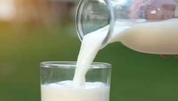 Milk: രാത്രിയിൽ ഉറങ്ങുന്നതിന് മുൻപ് പാൽ കുടിക്കുന്നത് ആരോ​ഗ്യകരമാണോ? ഈ പ്രശ്നങ്ങൾ നേരിടാം