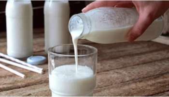 Milk: പാലിൽ ഈ 4 വസ്തുക്കൾ മിക്സ് ചെയ്യരുത്; അവ നിങ്ങളെ രോഗിയാക്കും! 